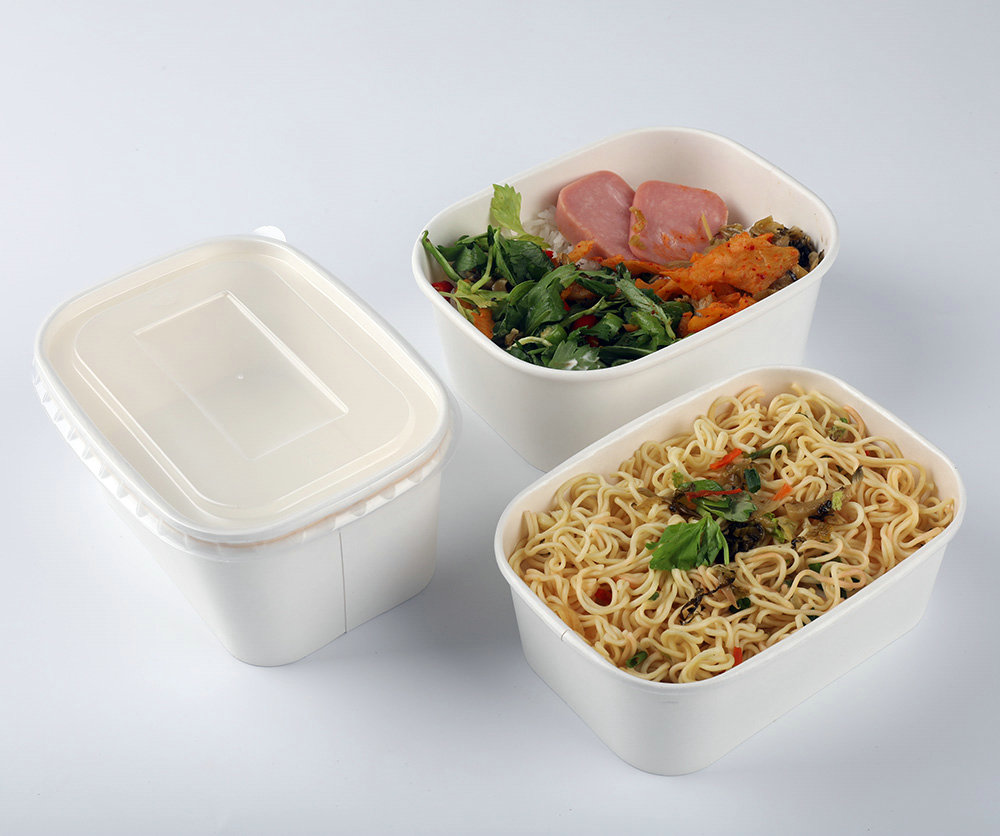 rectangular paper lunch box