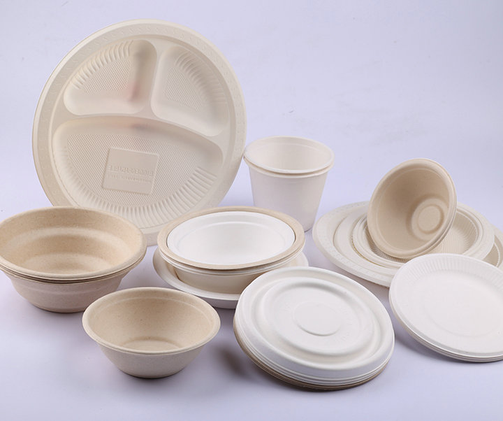 Degradable Pulp tableware（Pulp round box, rectangle box, Burger Box dinner plate)