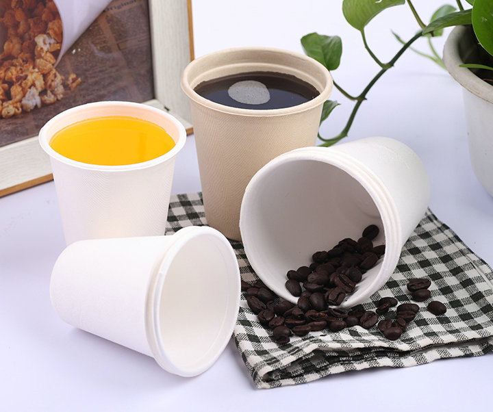 Degradable Pulp tableware（Pulp round box, rectangle box, Burger Box dinner plate)