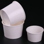 Double PE coated paper bowl