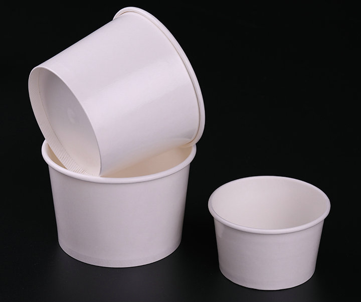 Double PE coated paper bowl