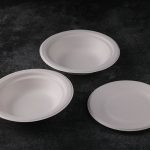 Degradable Pulp tableware（Pulp round box, rectangle box, Burger Box dinner plate)