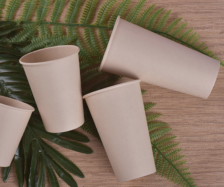 Bamboo pulp paper cup